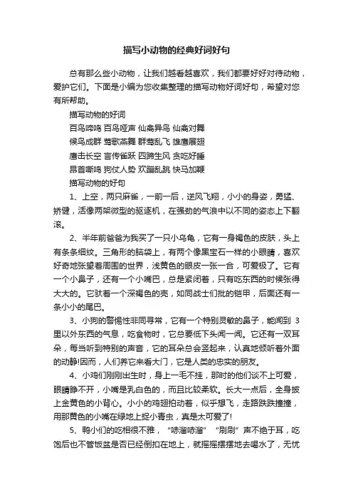 描写小动物的经典好词好句