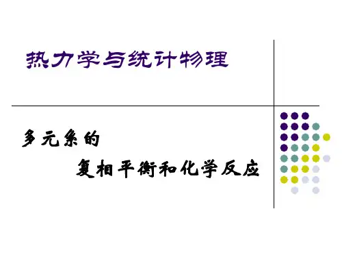 热统-多元系  复相平衡和化学反应