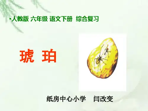 六年级下册语文优秀课件-综合复习《琥珀》 人教新课标  (共22张PPT)