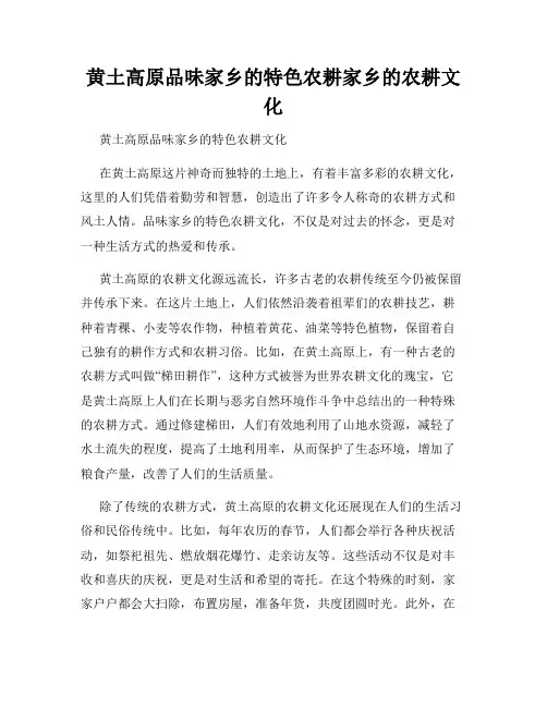 黄土高原品味家乡的特色农耕家乡的农耕文化
