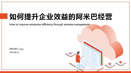 2023年阿米巴经营培训资料