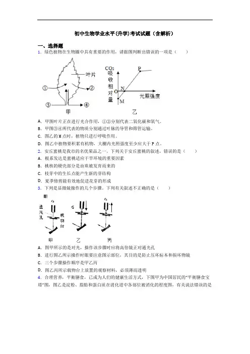 初中生物学业水平(升学)考试试题(含解析)