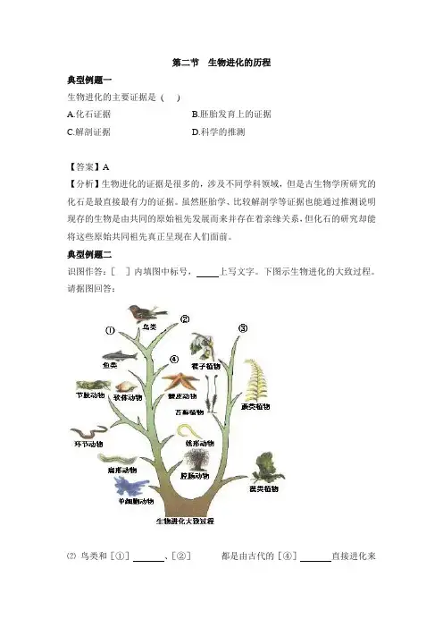 人教版生物八年级下册7.3.2《生物进化的历程》典型例题