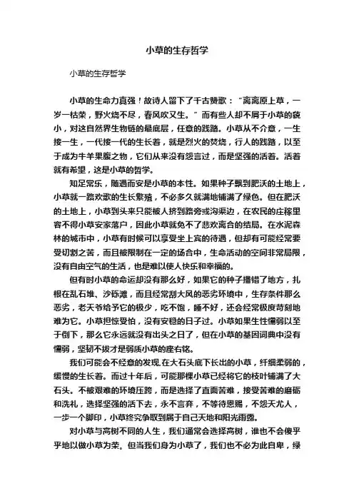 小草的生存哲学