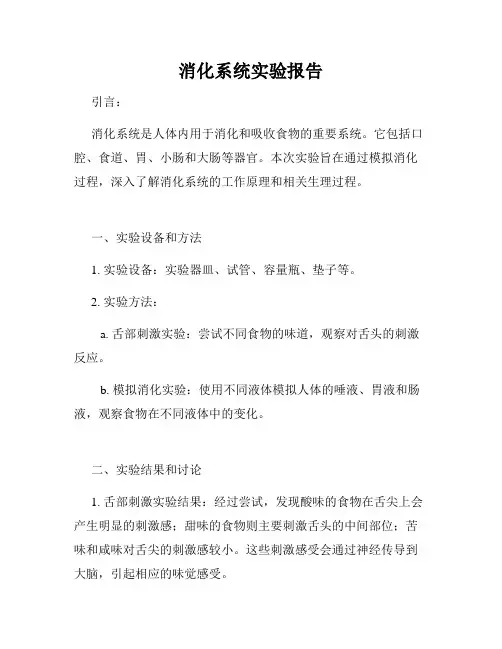 消化系统实验报告