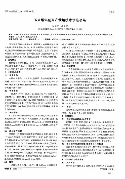 玉米增温创高产栽培技术示范总结