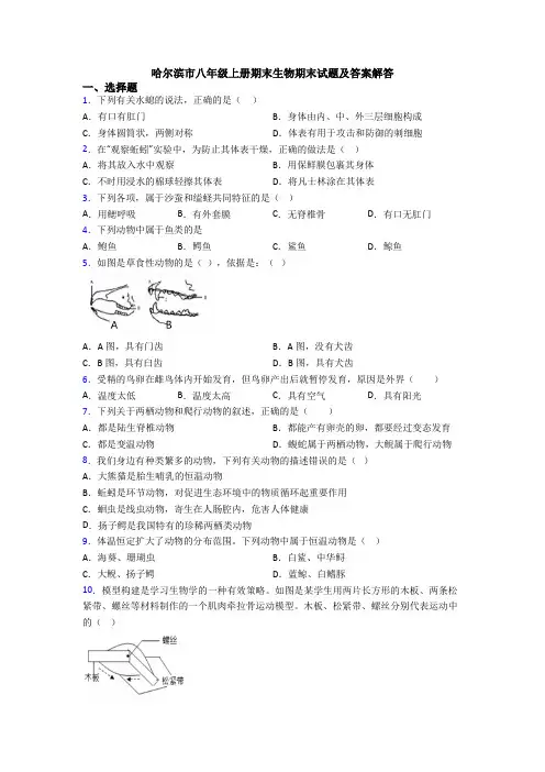 哈尔滨市八年级上册期末生物期末试题及答案解答