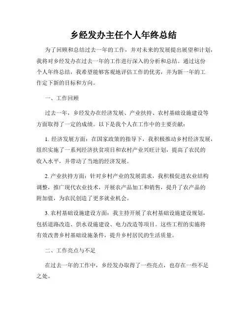 乡经发办主任个人年终总结