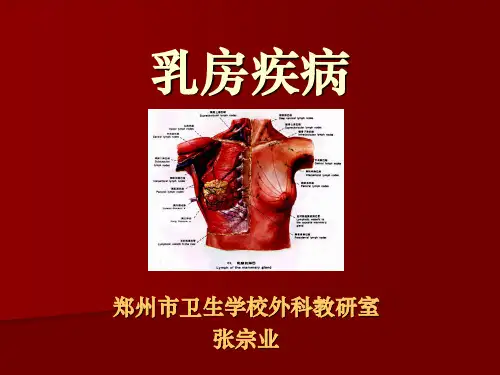 013乳房疾病