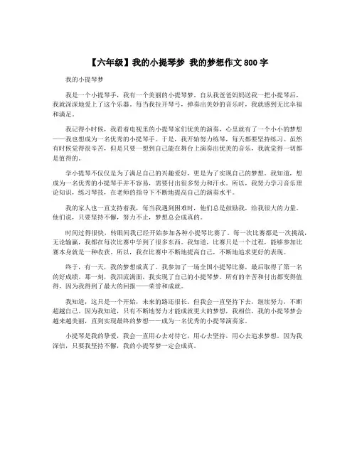 【六年级】我的小提琴梦 我的梦想作文800字