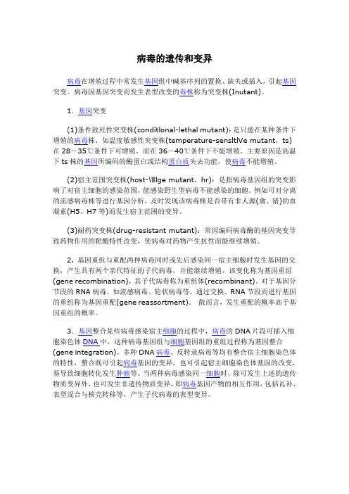 病毒的遗传和变异