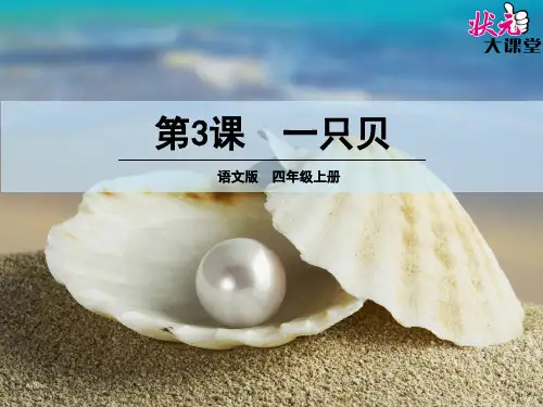 3一只贝