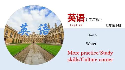 Unit5More practice【课件】七年级英语下册(牛津深圳版)