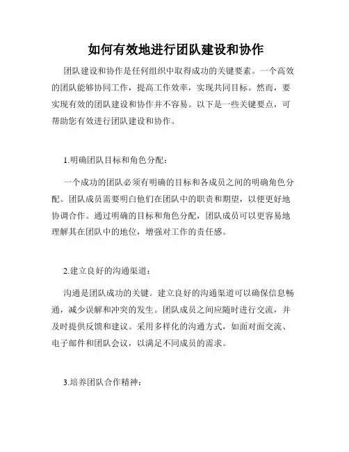  如何有效地进行团队建设和协作