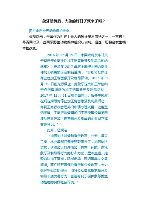 象牙禁贸后，大象的好日子就来了吗？