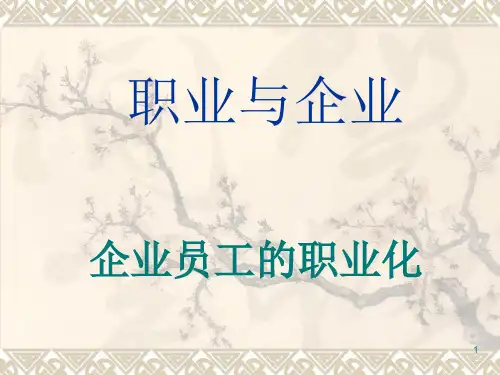企业员工职业化ppt课件