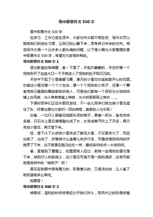 雪中即景作文500字