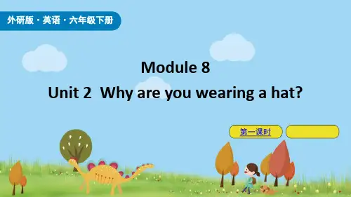 《Why are you wearing a hat_》PPT课件(第1课时)