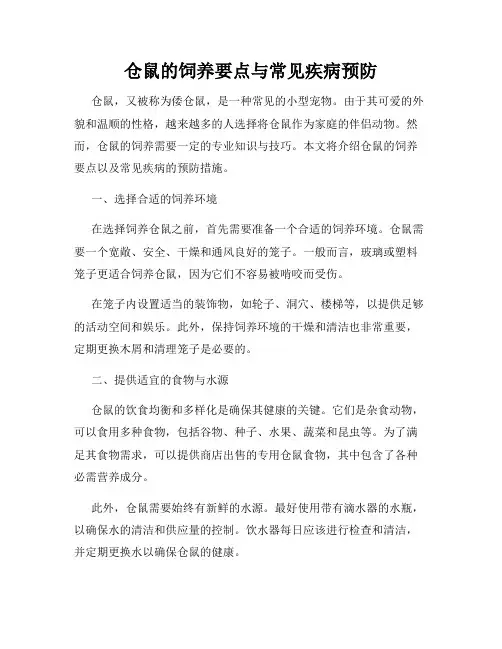 仓鼠的饲养要点与常见疾病预防