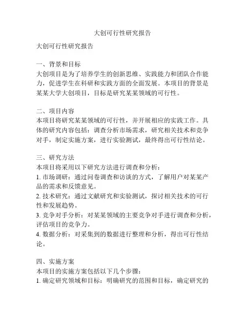 大创可行性研究报告