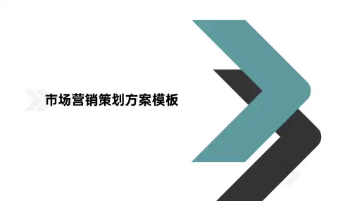 市场营销策划方案模板PPT