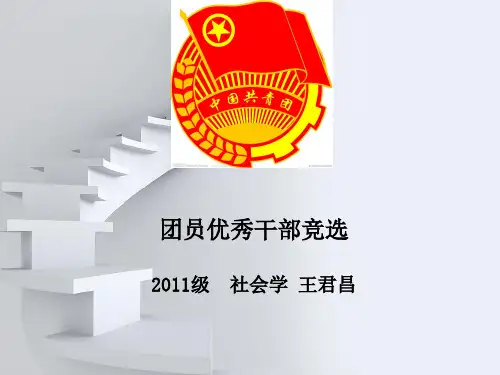 优秀团干部竞选演讲