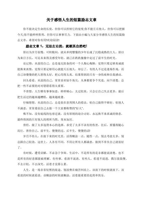 关于感悟人生的短篇励志文章