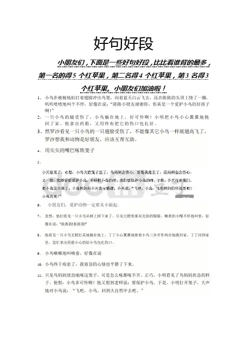 受伤的小鸟好句好段