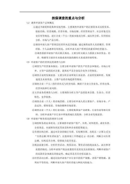 担保调查的重点与分析