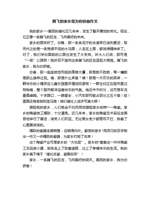 腾飞的家乡我为你骄傲作文