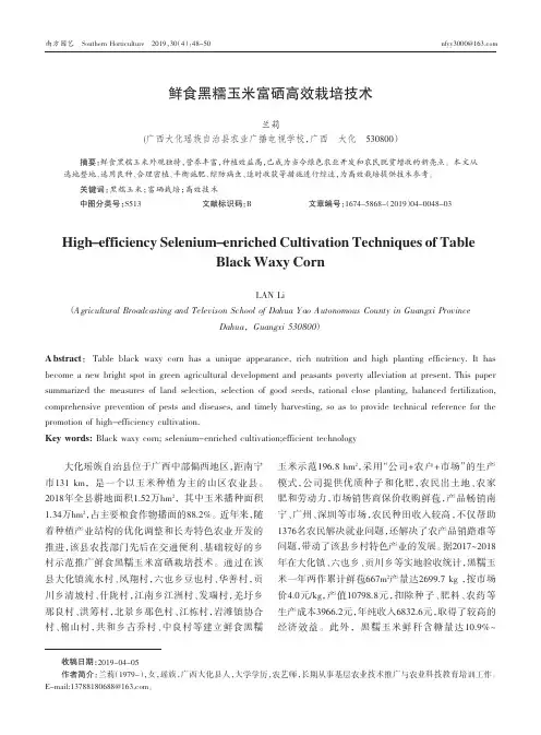 鲜食黑糯玉米富硒高效栽培技术