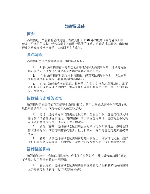 汤姆猫总结