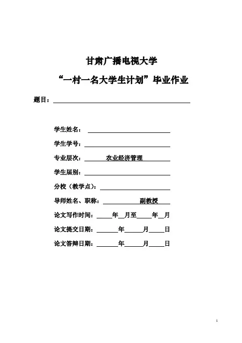 一村一名专业毕业作业和社会调查封面