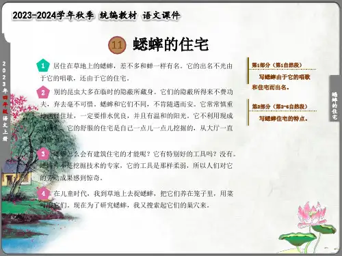 四年级上册《蟋蟀的住宅》教学课件(共11张PPT)