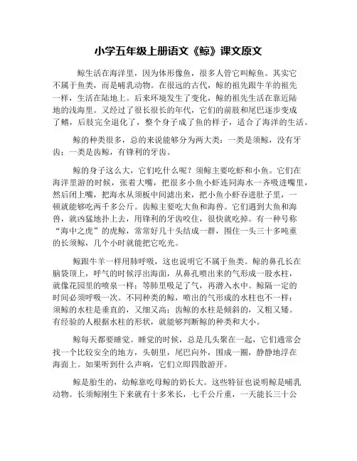 小学五年级上册语文《鲸》课文原文