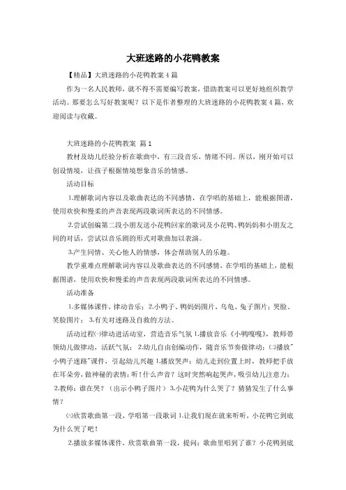 大班迷路的小花鸭教案