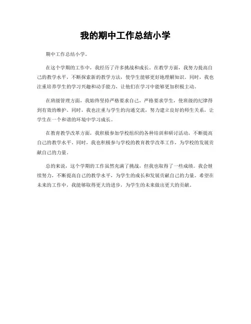 我的期中工作总结小学