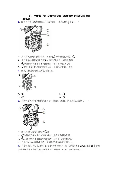 初一生物第三章 人体的呼吸单元易错题质量专项训练试题