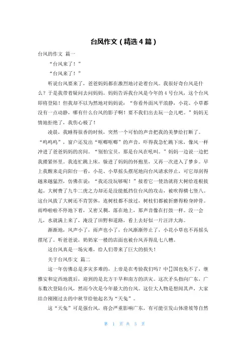 台风作文(精选4篇)