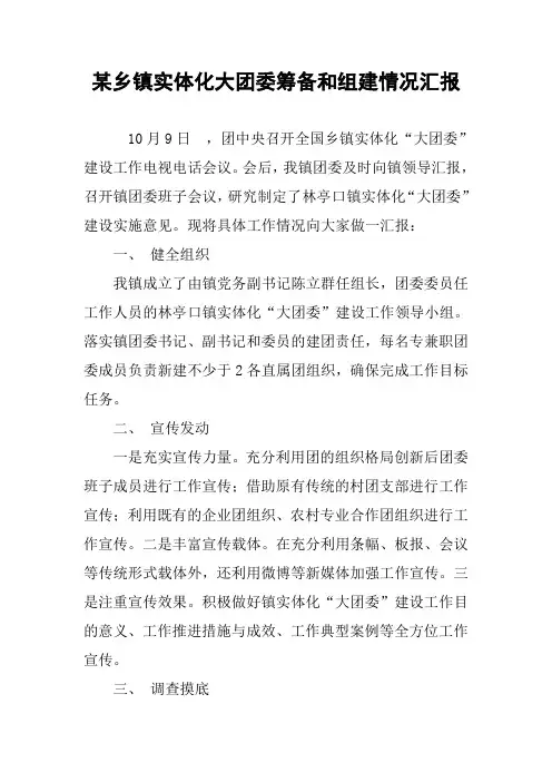 某乡镇实体化大团委筹备和组建情况汇报