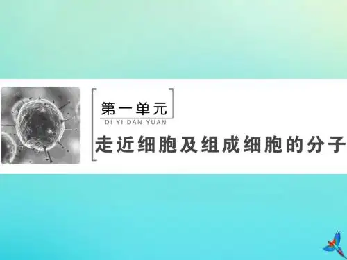 2020版高考生物一轮复习第3讲蛋白质和核酸课件新人教版