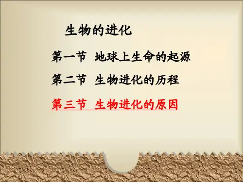 八年级生物下册教学课件：生物进化的原因 