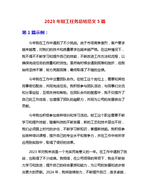 2023年钳工任务总结范文5篇