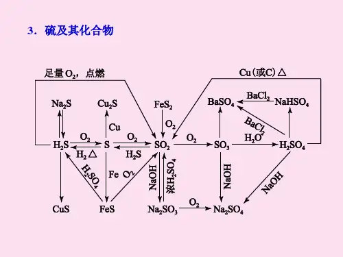 高三化学第一轮复习课件讲硫及其化合物