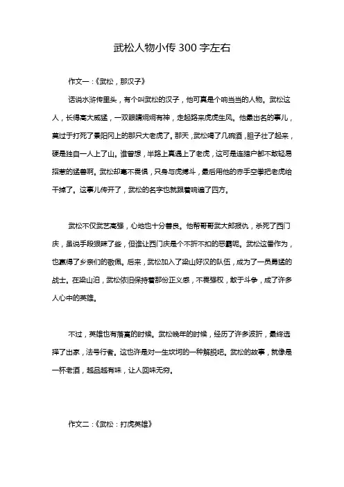 武松人物小传300字左右