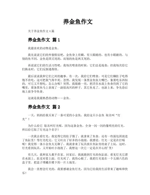 养金鱼作文