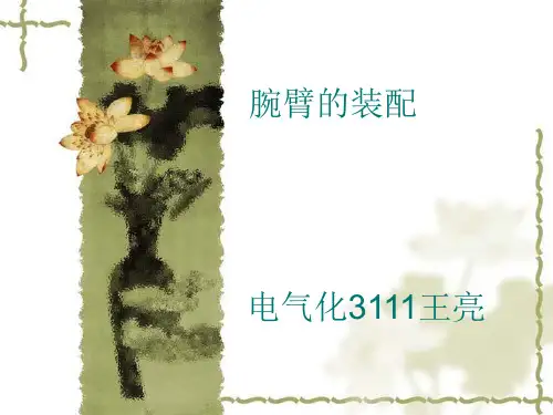 腕臂