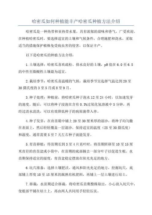 哈密瓜如何种植能丰产哈密瓜种植方法介绍