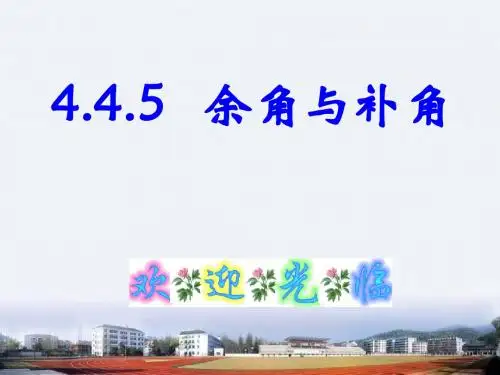 余角与补角精选教学PPT课件