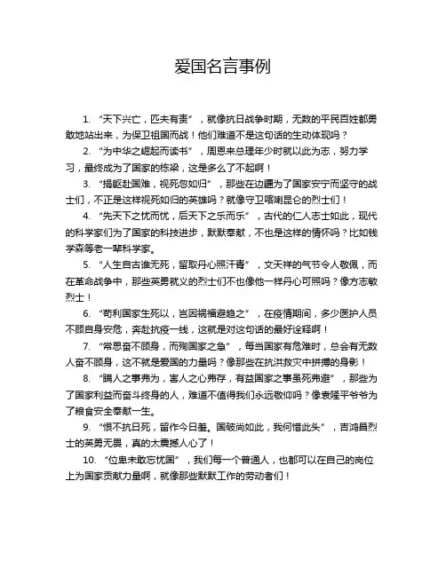 爱国名言事例